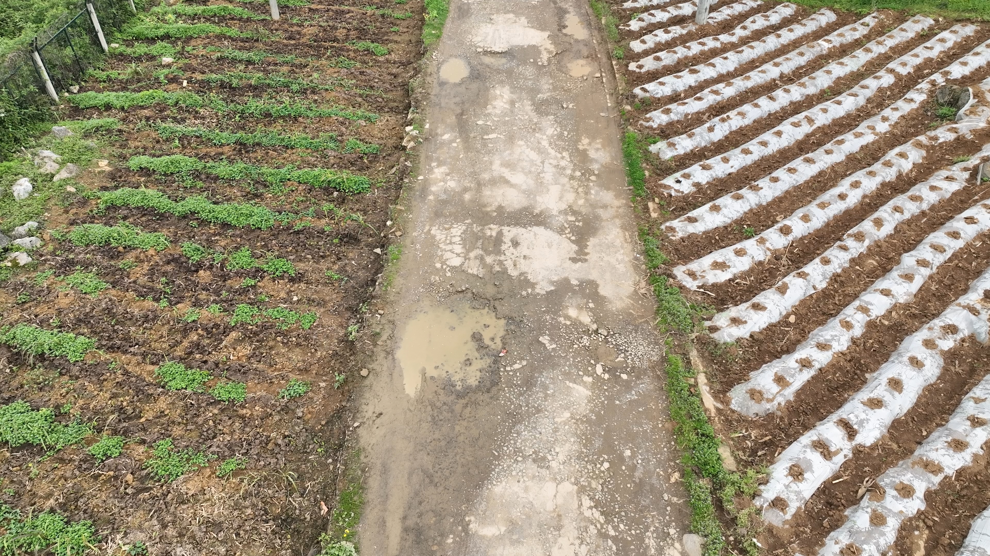 路面局部破损明显