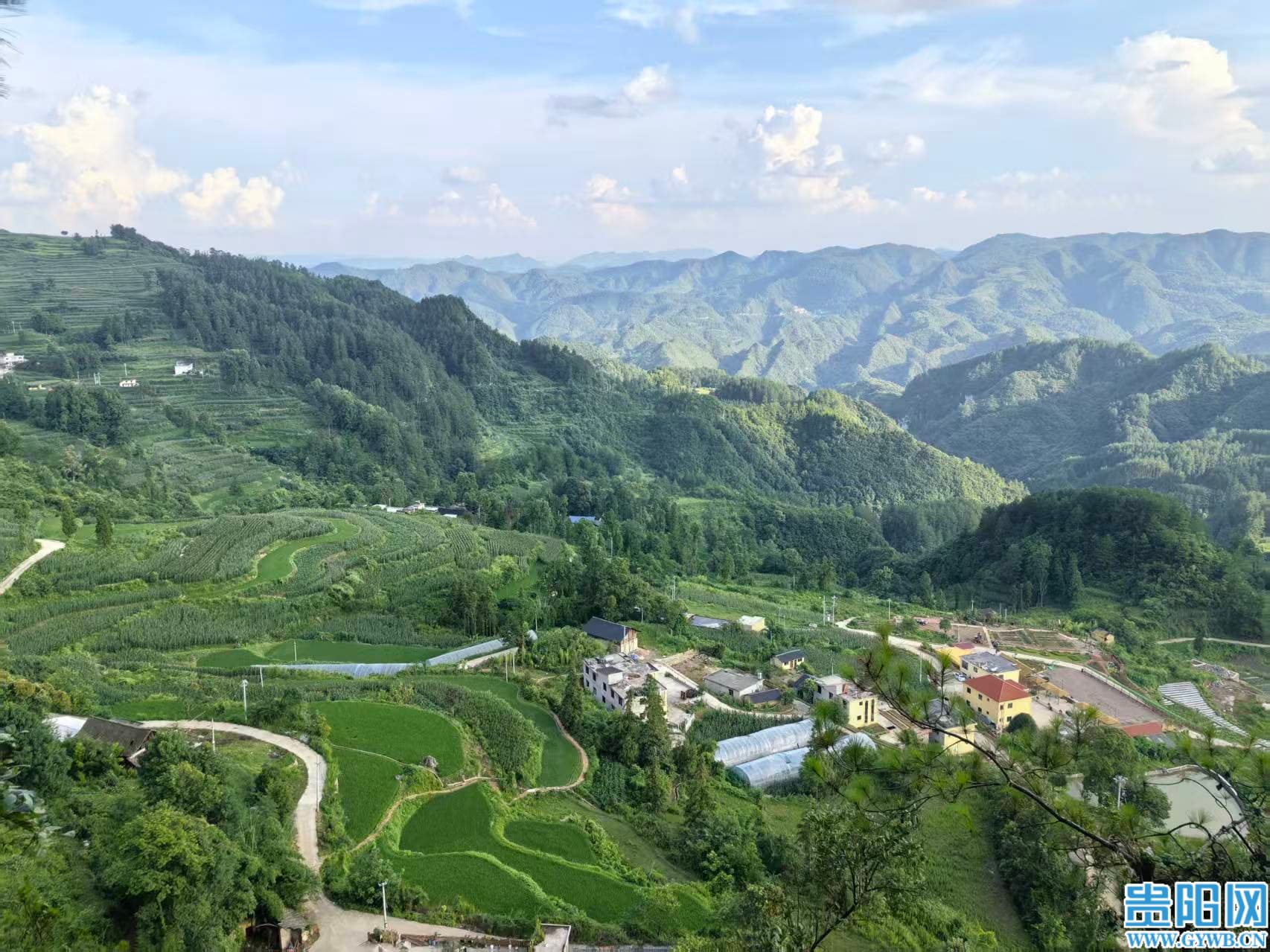 1776136011791036685.jpg 1776132719_0 (1).jpg