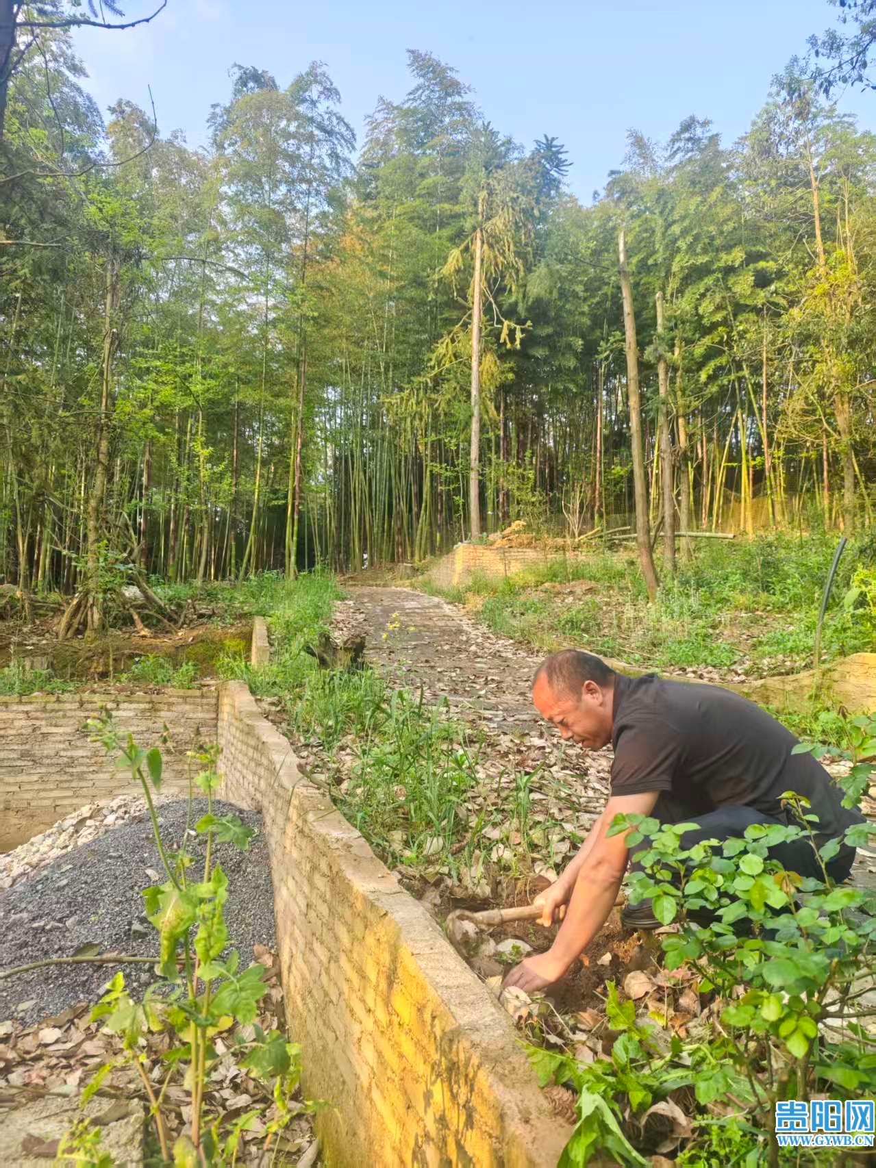 1776136884544075897.jpg 1776132705_0 (1).jpg