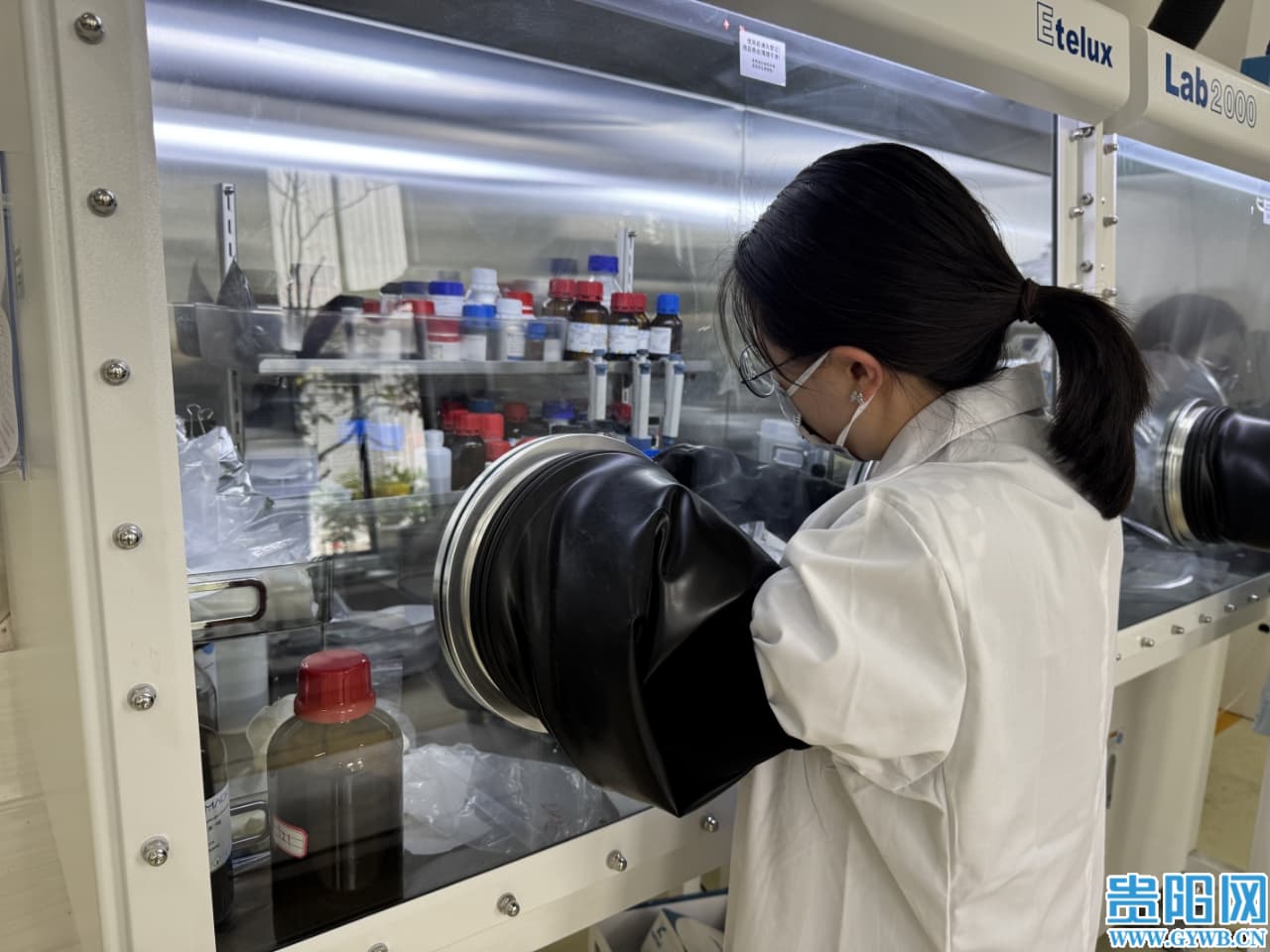 2908c64b288d4f00844b8be3bc058630 (1).jpg