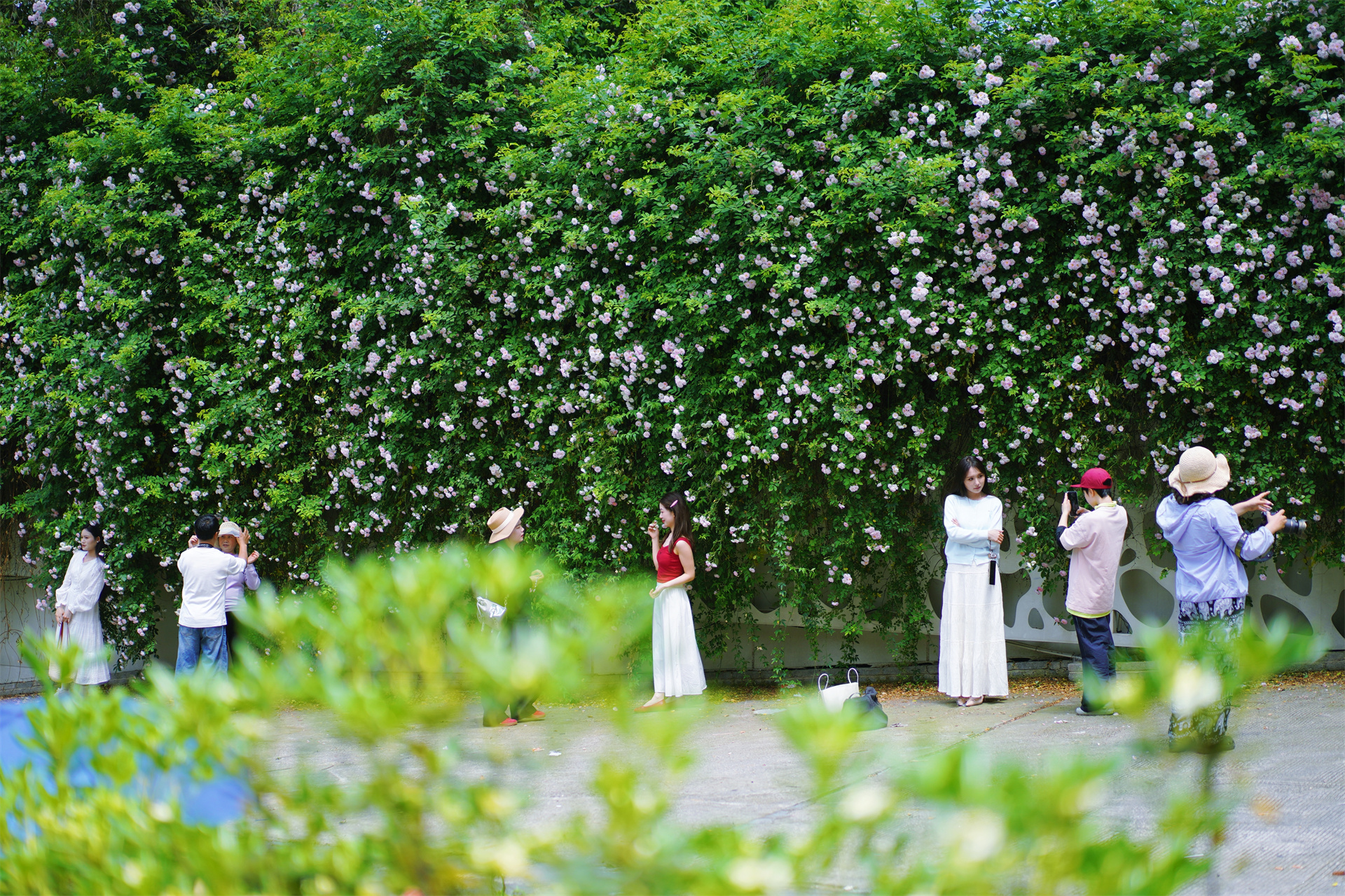 2bfa4d4c650d42ecafdb07e2de92b967