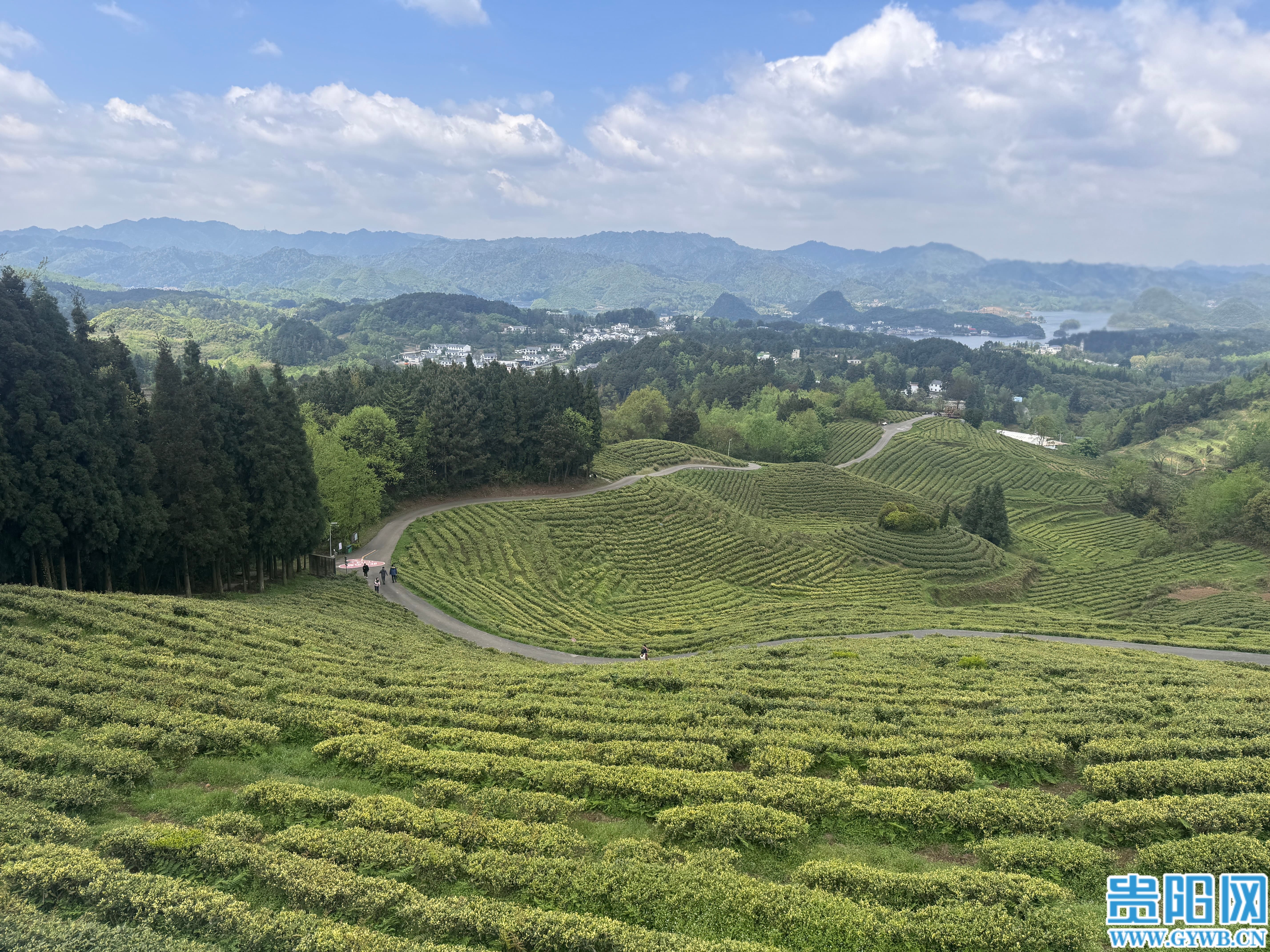 微信图片_20260422091744_64_362 (1).jpg