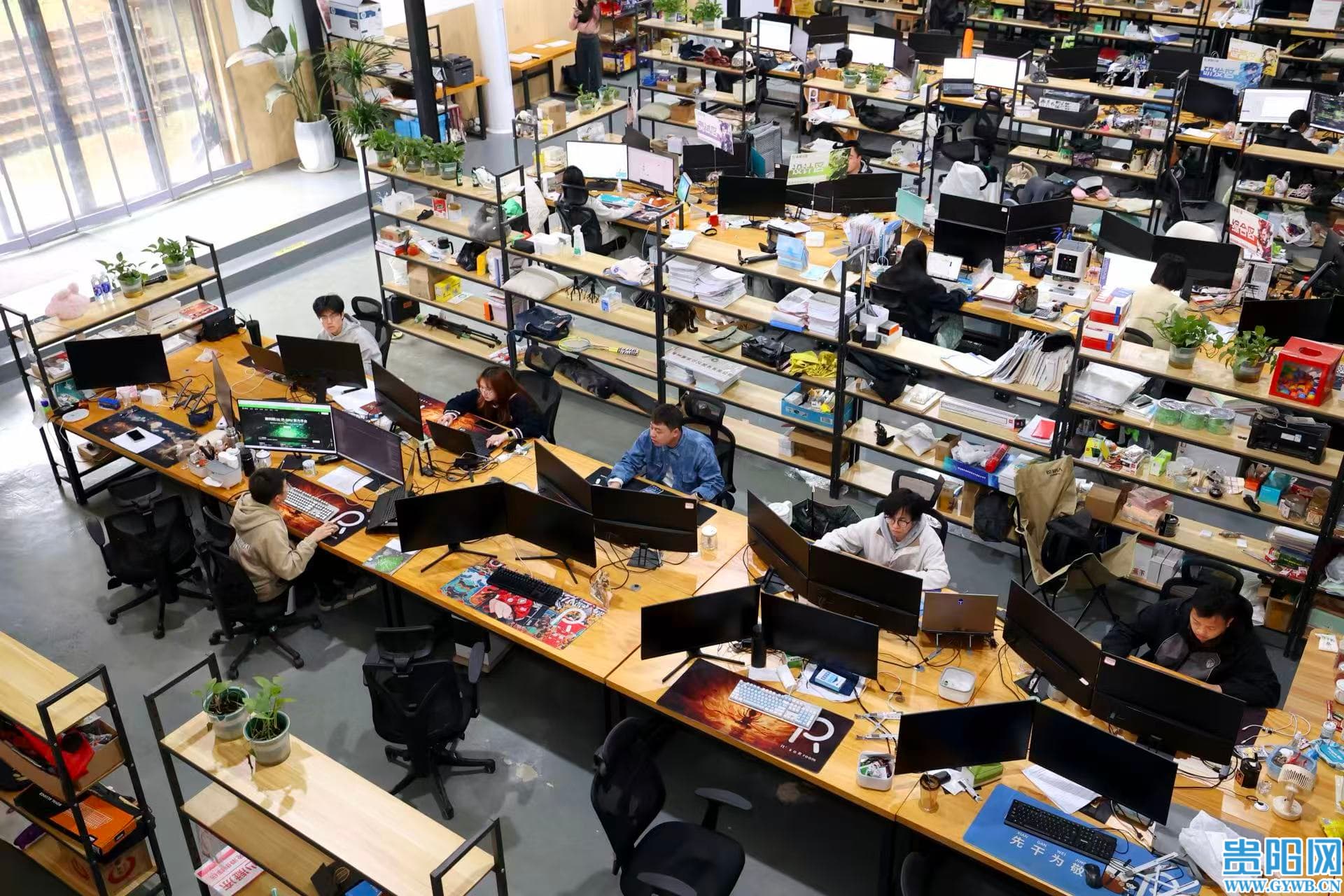 1777008564565043085 (1).jpg