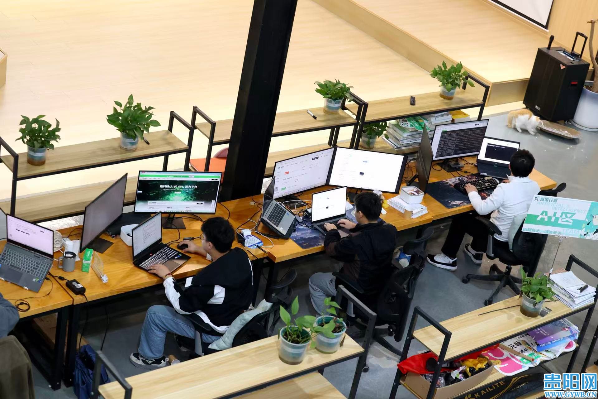 1777008572320090123 (1).jpg