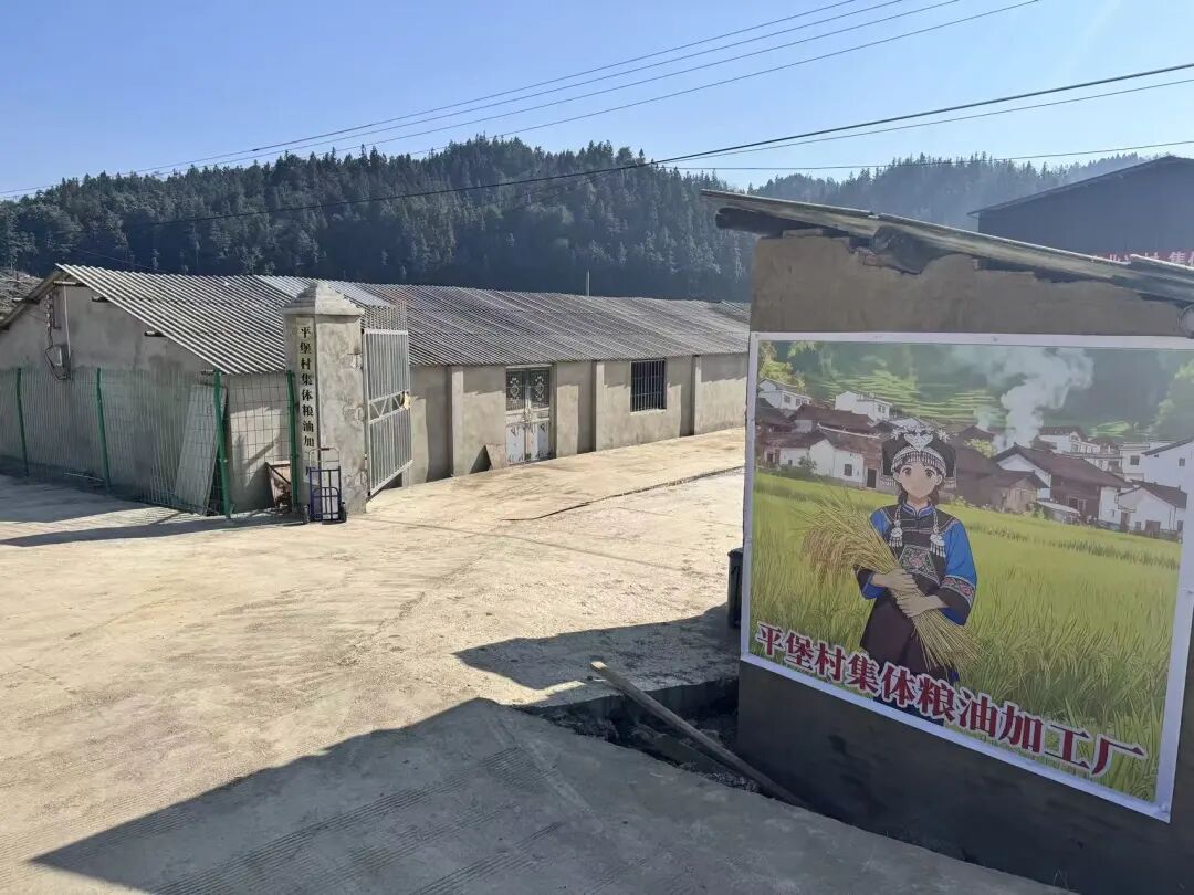 平堡村大米加工厂。毛吕摄 图片