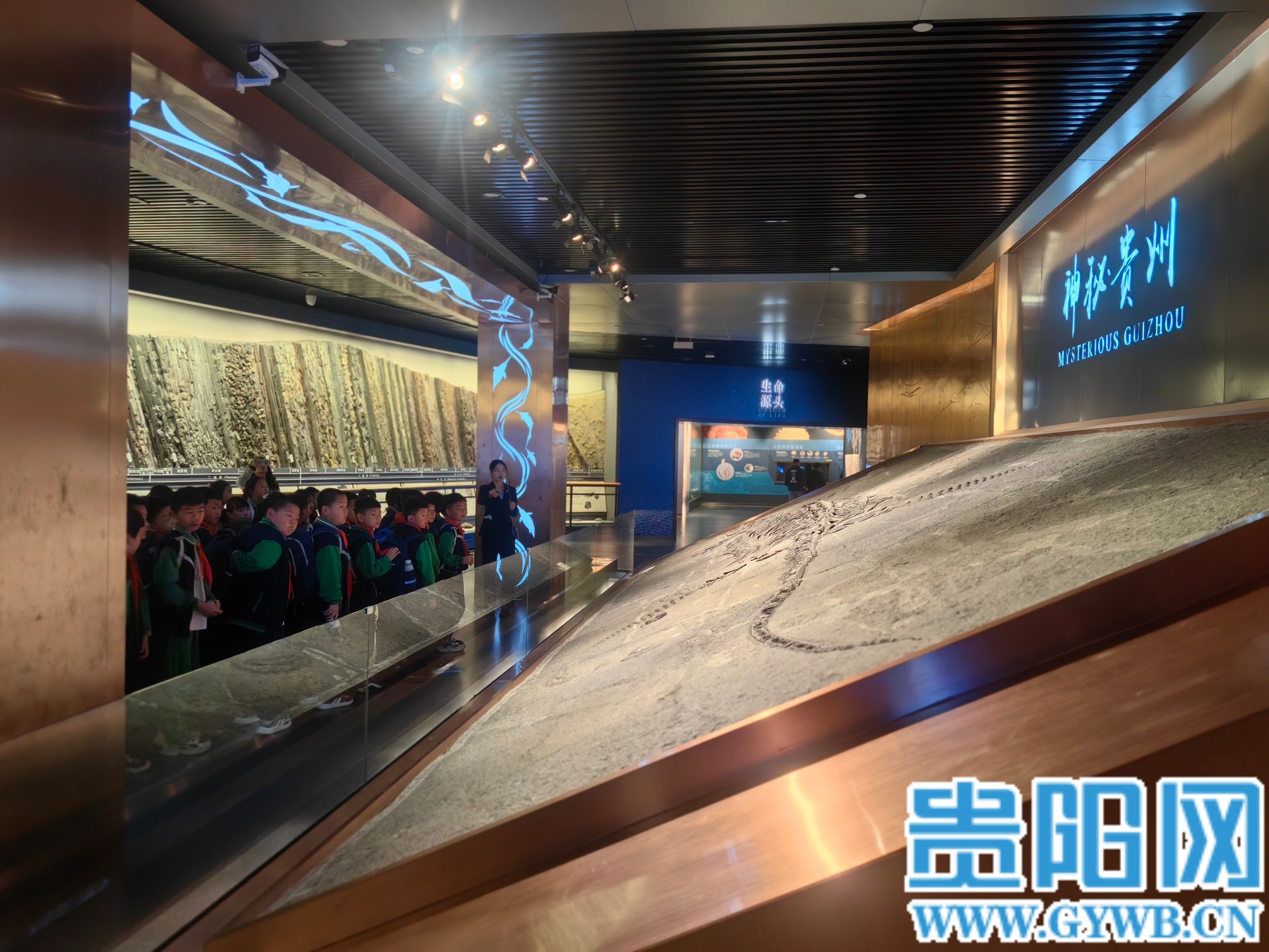 1贵州省地质博物馆研学团队认真听解说员讲解 (1)