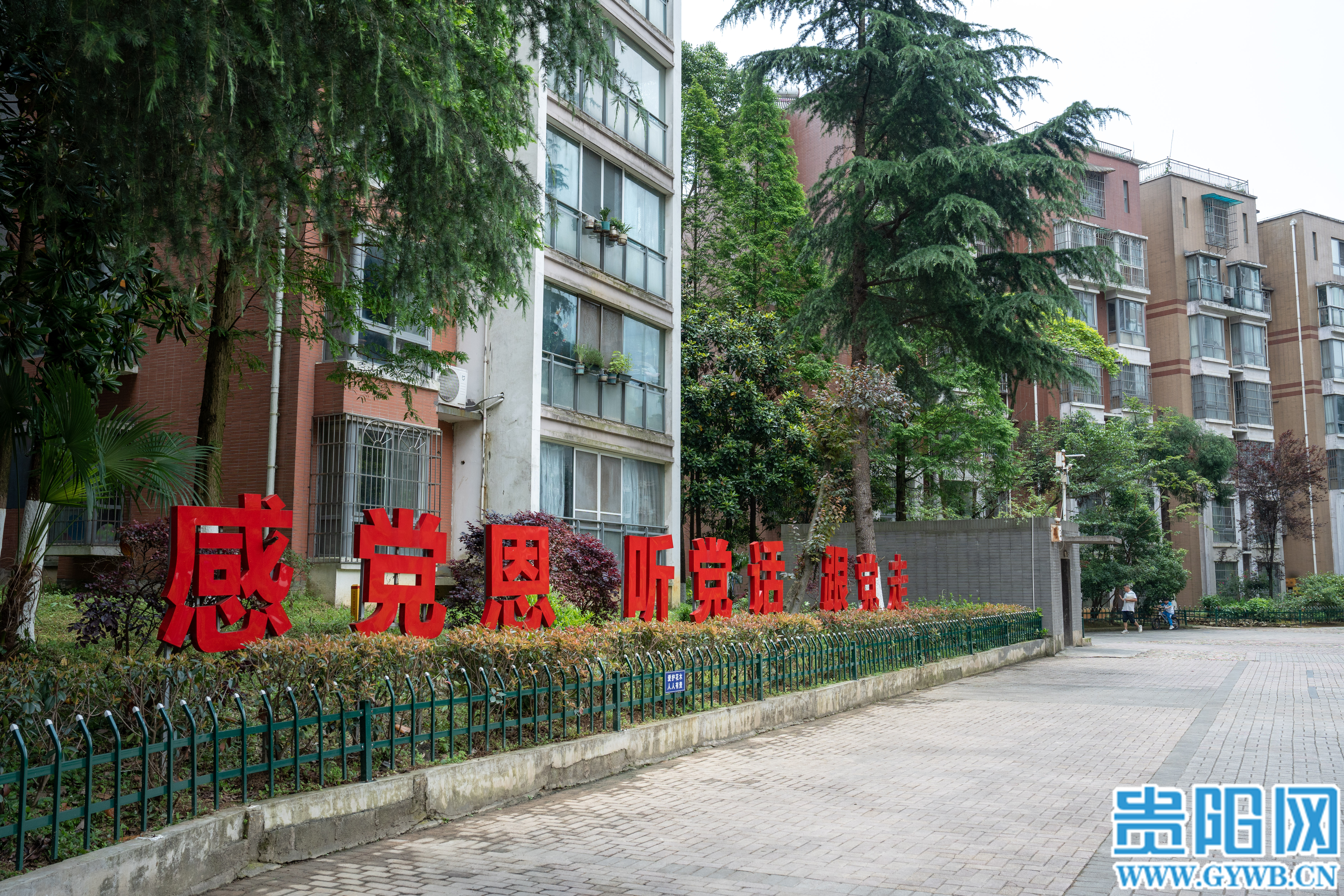 小区内的宣传标语。许发顺 摄