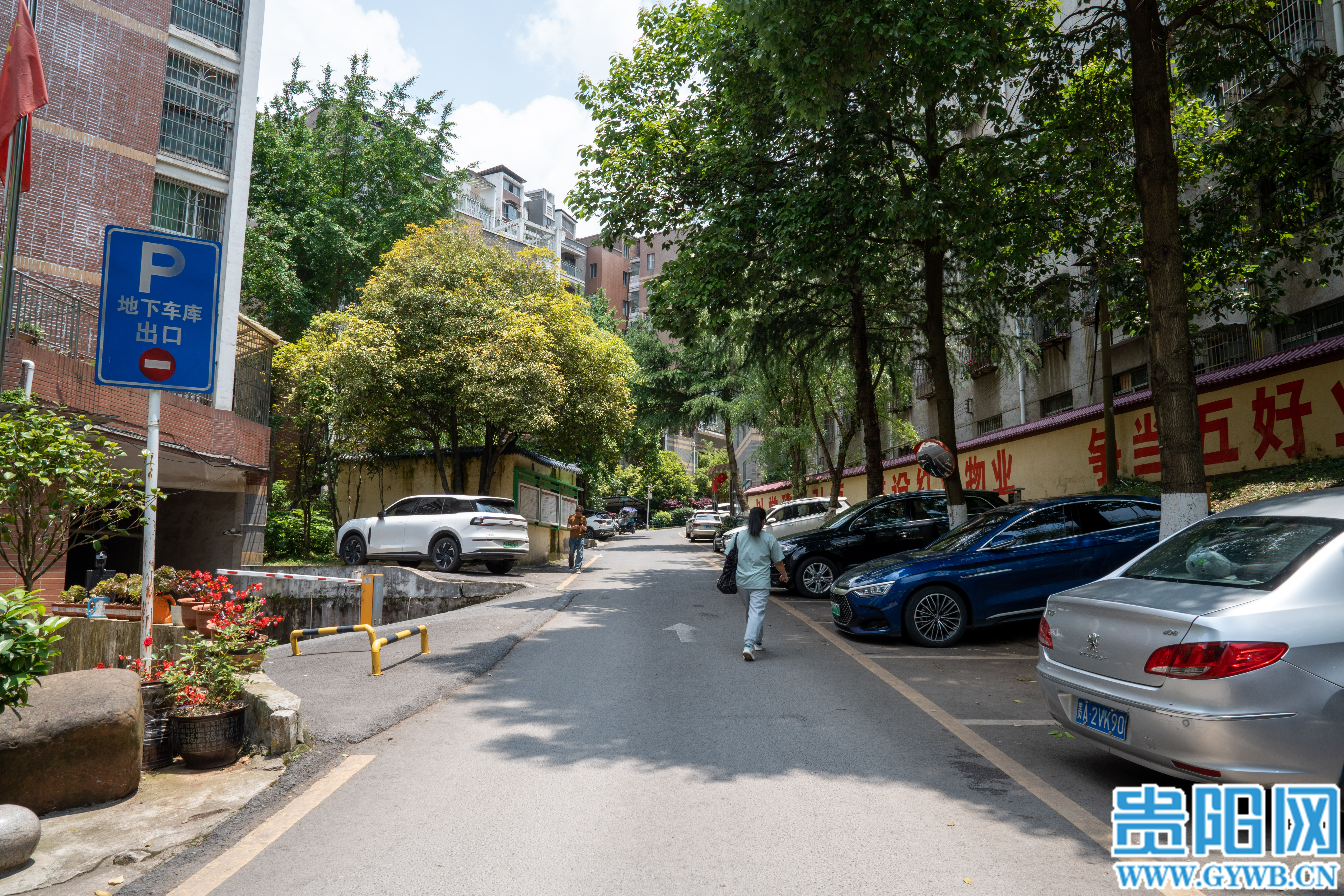 小区新铺设的道路。许发顺 摄