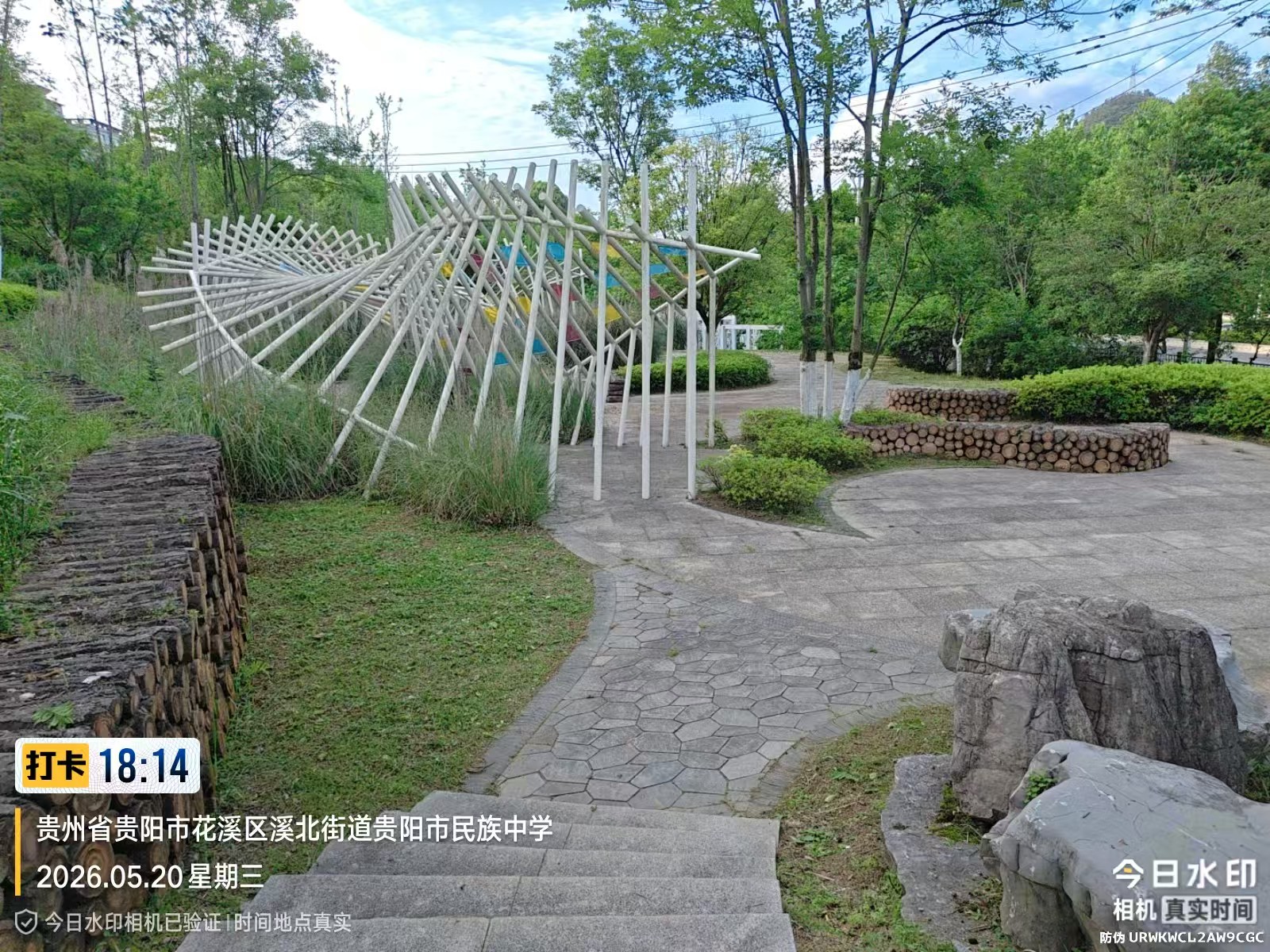清理干净的道旁绿地(部门供图)