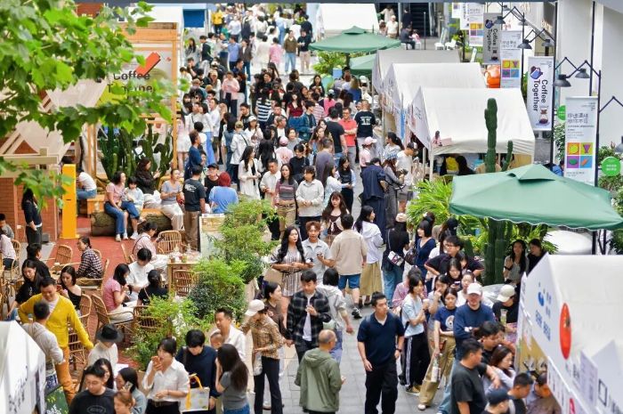 3天超26万人次！市民游客在云岩开启“咖啡时间”_今日报
