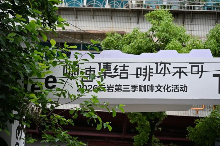 DSC_0569-opq4697539879 图片