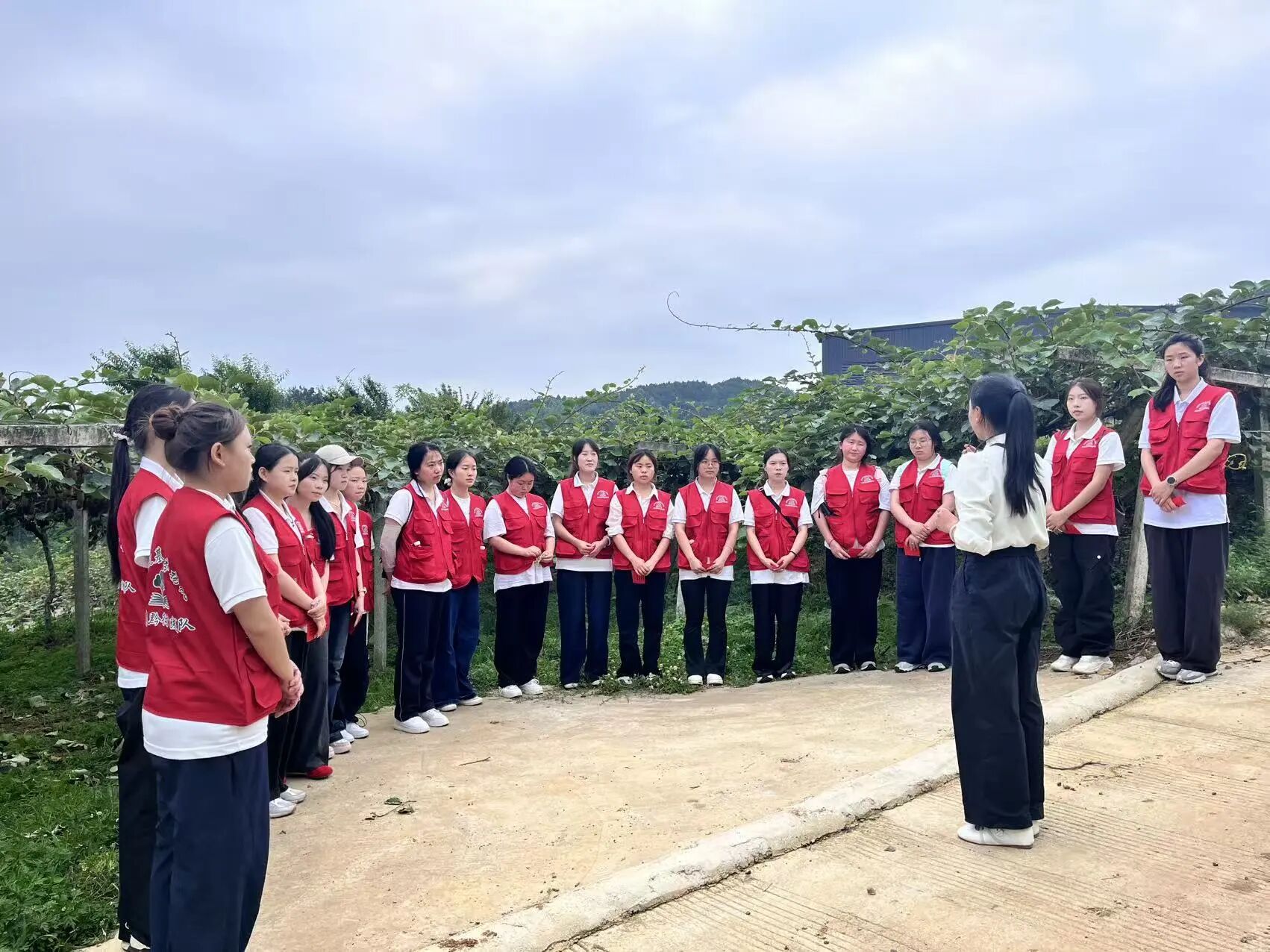 高校学生在猕猴桃产业基地接受现场思政教学。