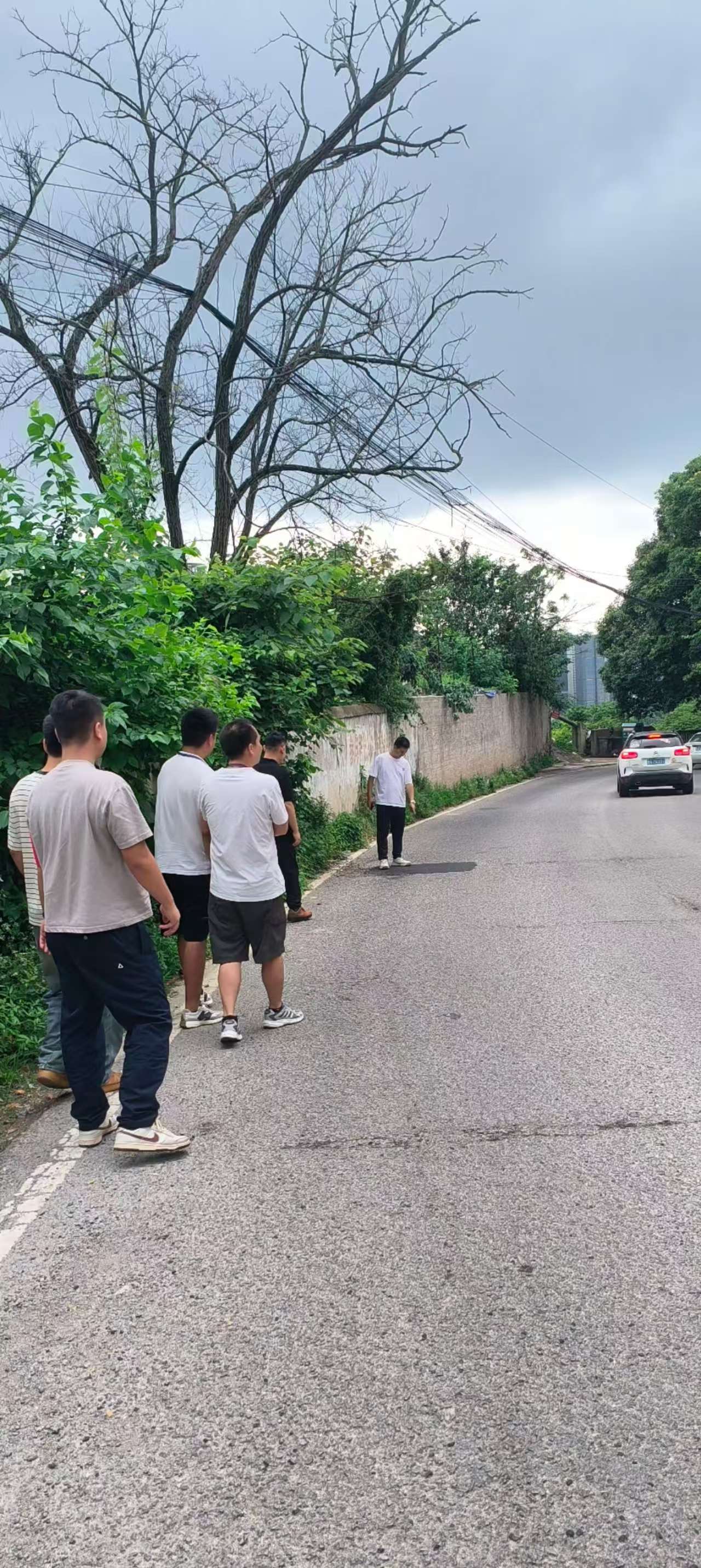 相关部门现场验收,道路修复质量达标,路面坑洼隐患已全部消除(部门供图)1