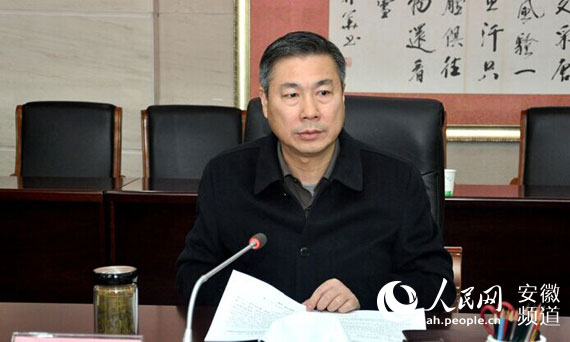 陈冰冰当选安庆市人民政府市长